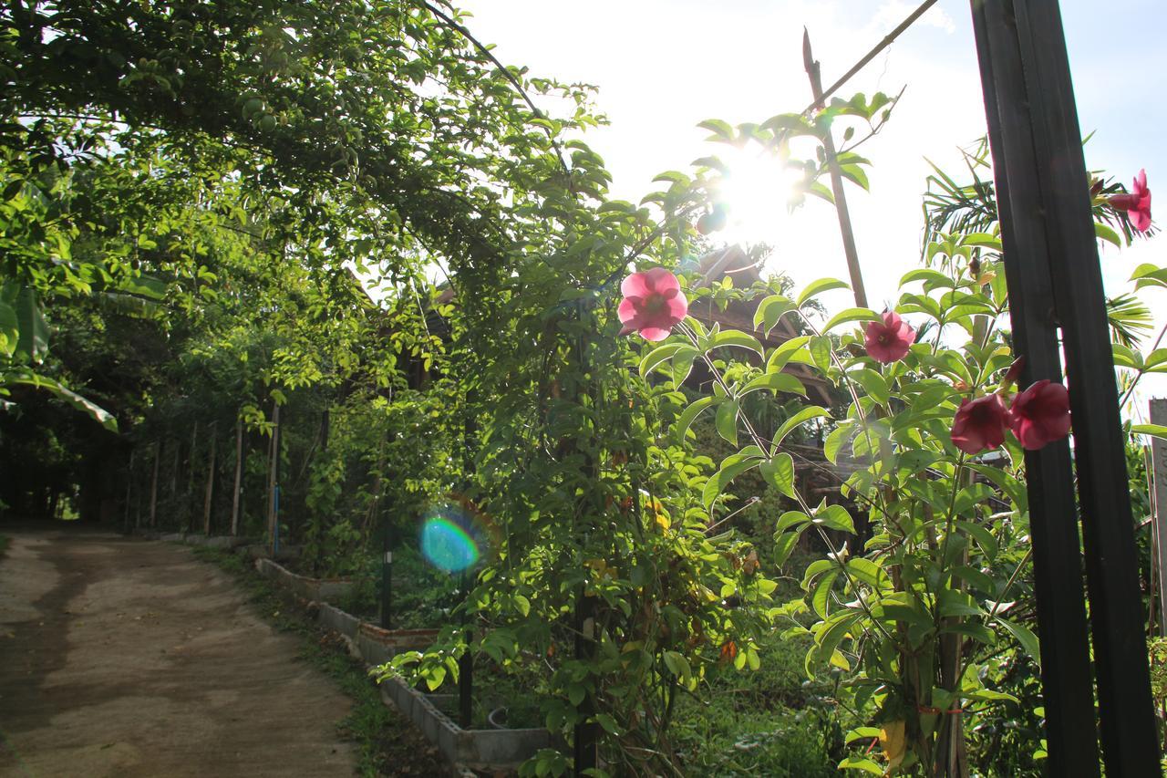 Jiang Lha Lanna Homestay Mae Rim Esterno foto