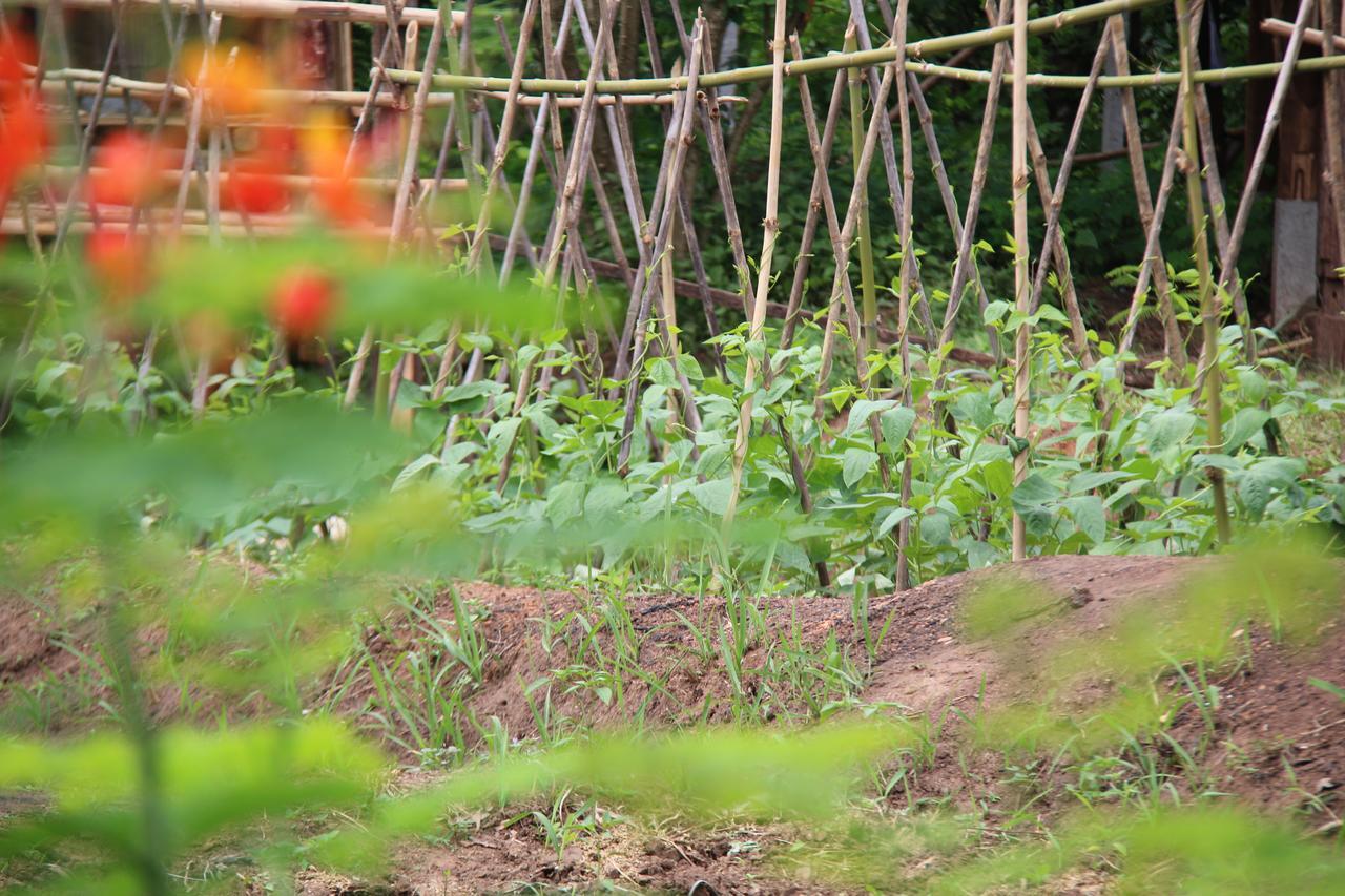 Jiang Lha Lanna Homestay Mae Rim Esterno foto